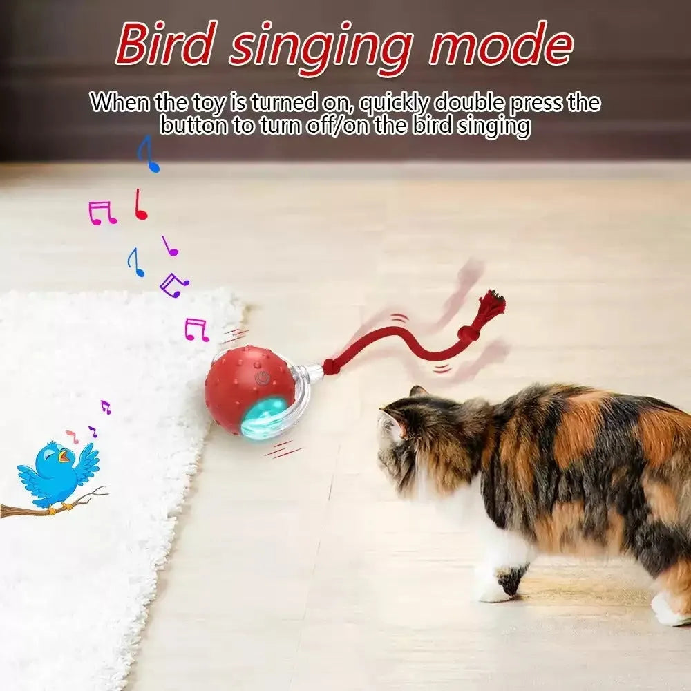 Blue interactive cat toy ball with LED light and bell for indoor feline entertainment