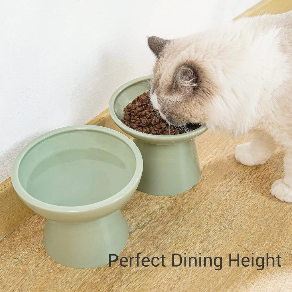Blue elevated ceramic cat food bowl on a white surface