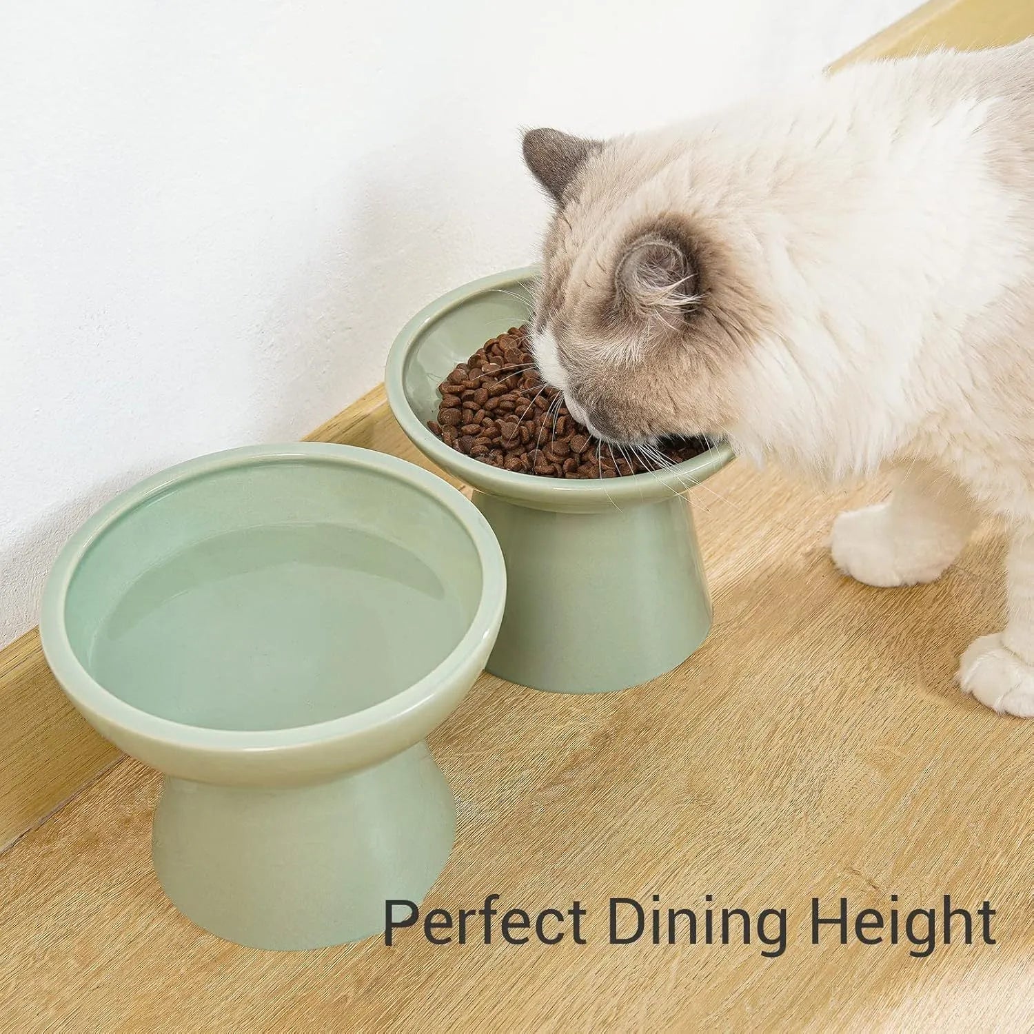 Blue elevated ceramic cat food bowl on a white surface