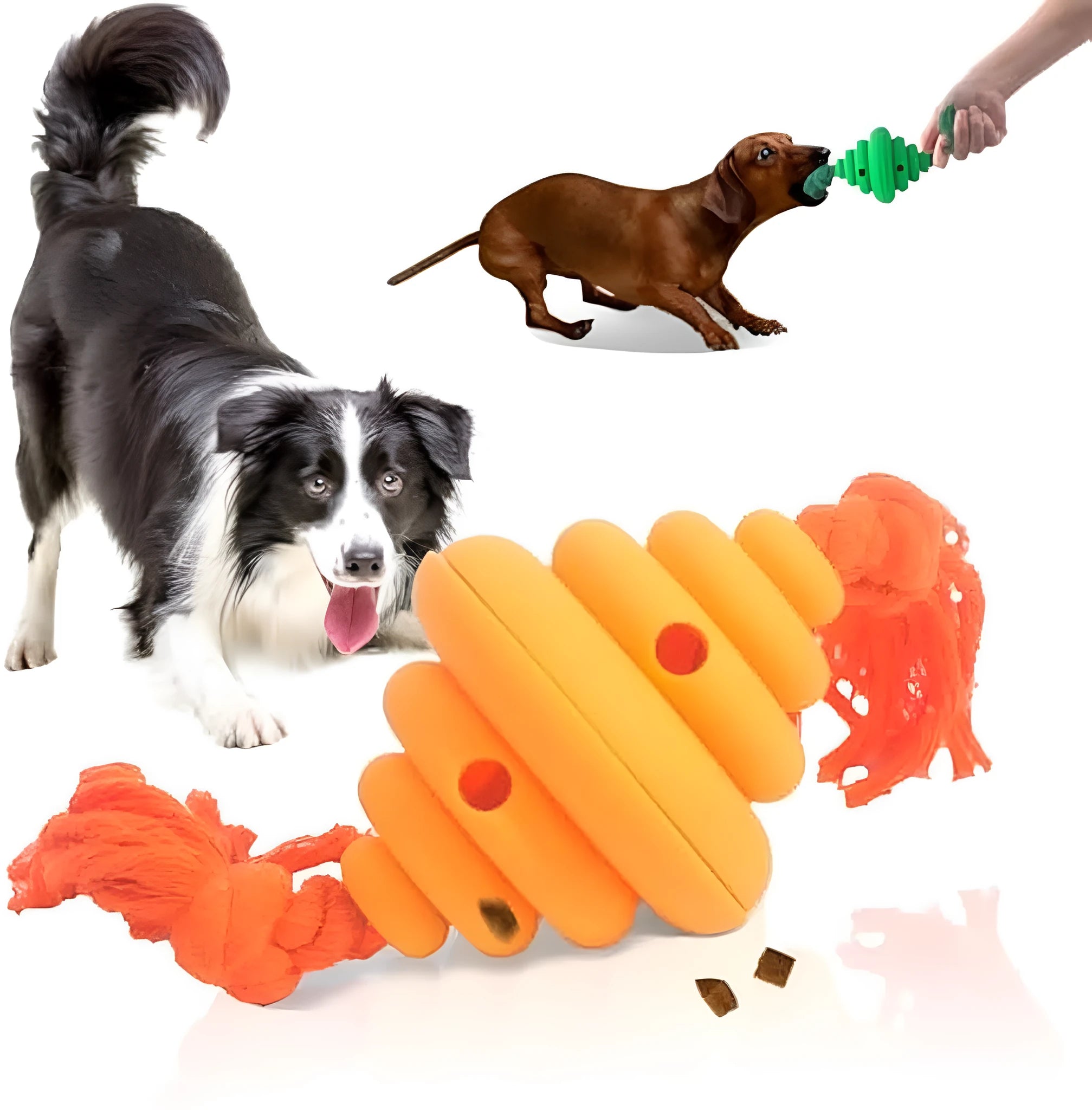 Green and yellow dog ball with rope attachment, showing treat-dispensing hole.