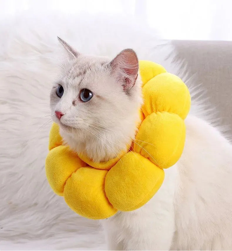 Soft white cotton pet protective collar for cats and dogs on a table, showing adjustable band and inner ring.