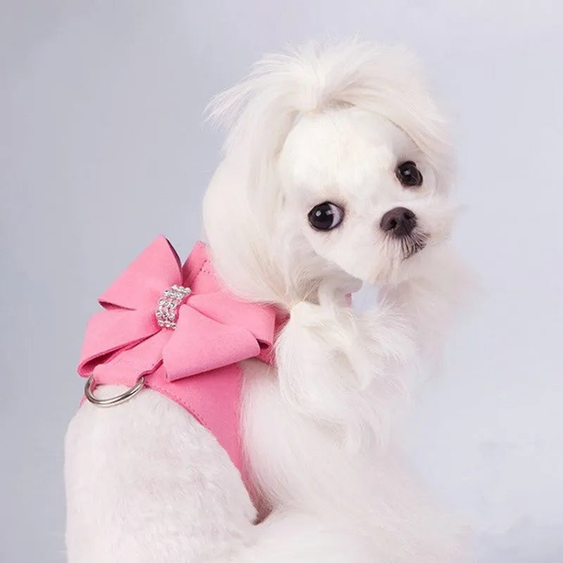 A pink dog harness with a white bowknot on the chest strap, shown on a small dog.