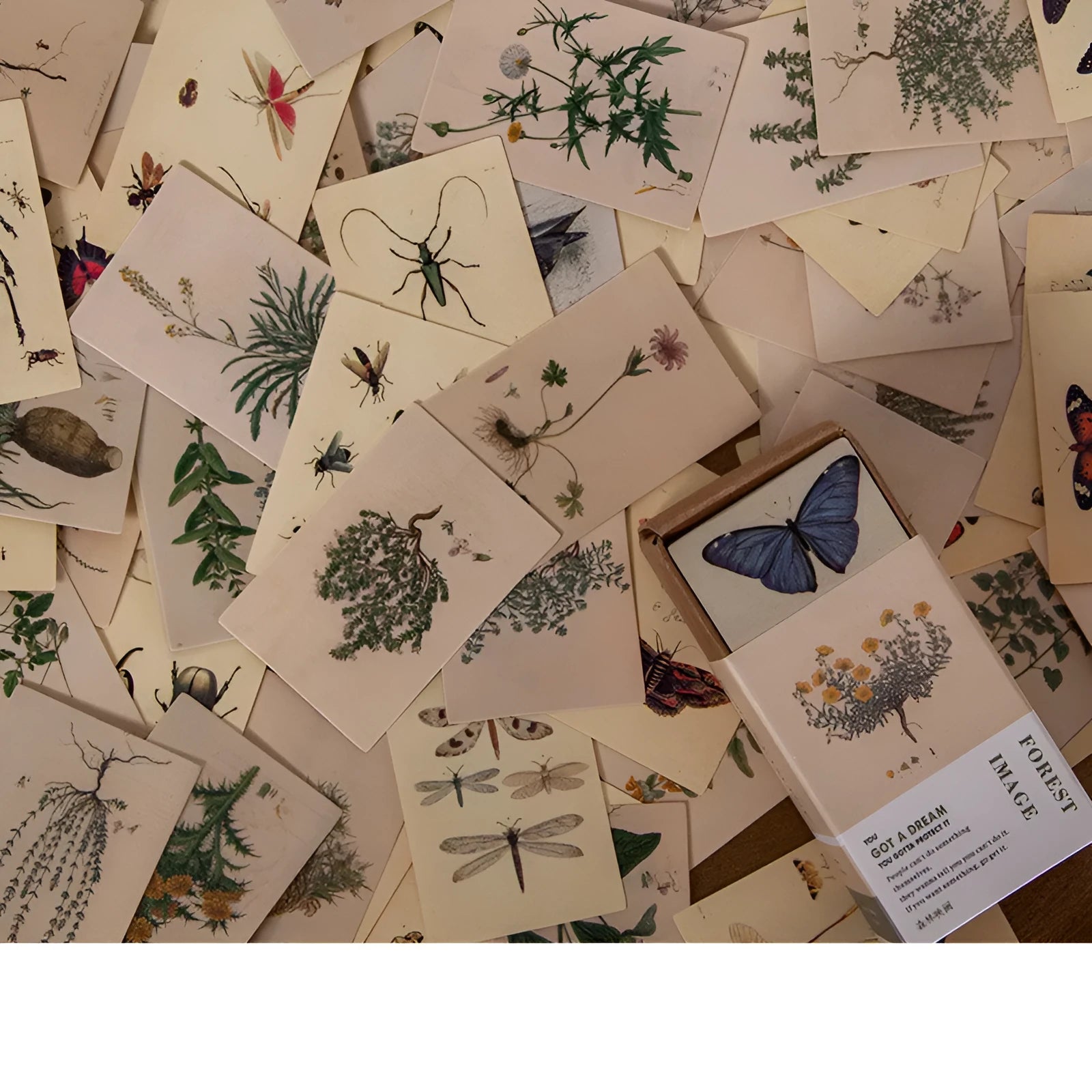 100 double-sided retro mini note cards in seven colours including blossoming flowers and antique paper