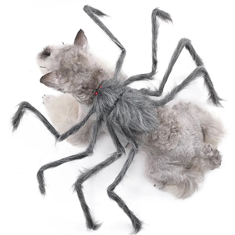 Halloween spider costume for pets on dog showing black and purple spider design