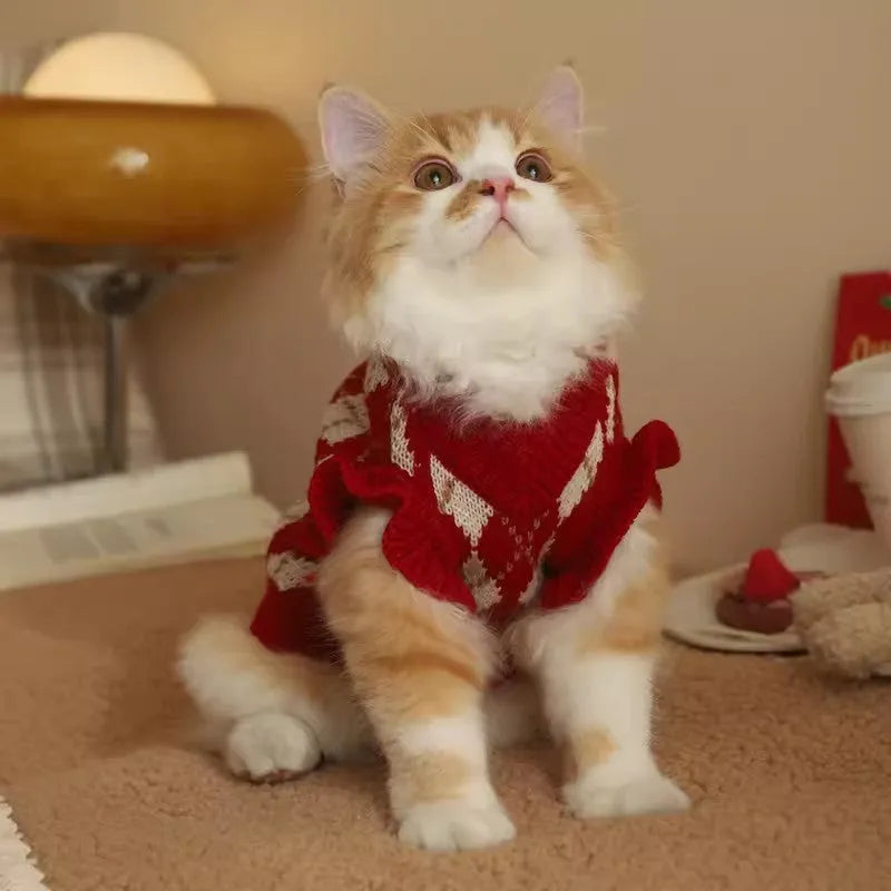 Red cat sweater with embroidered cherry pattern showing size chart for XS to XL.