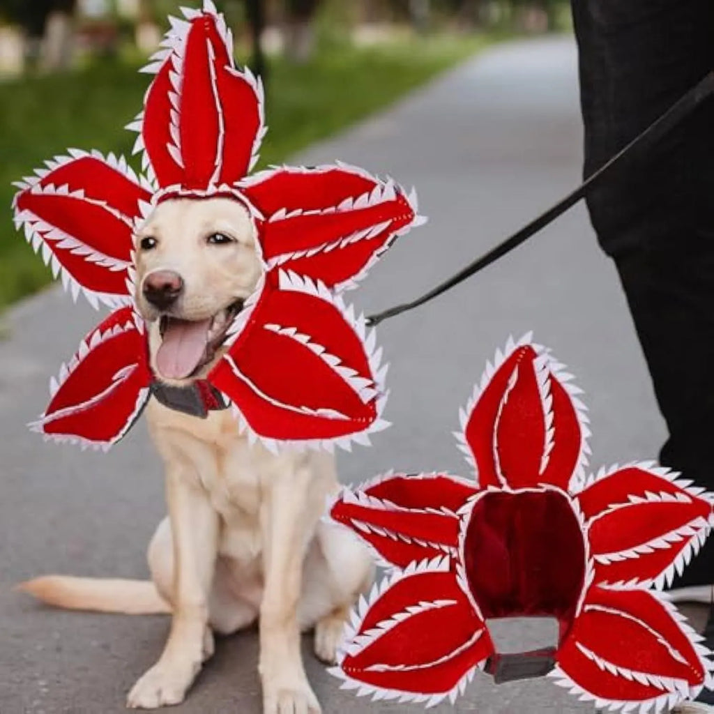 Dog wearing Halloween demon hat costume with open chomper mouth and flower headband accessory