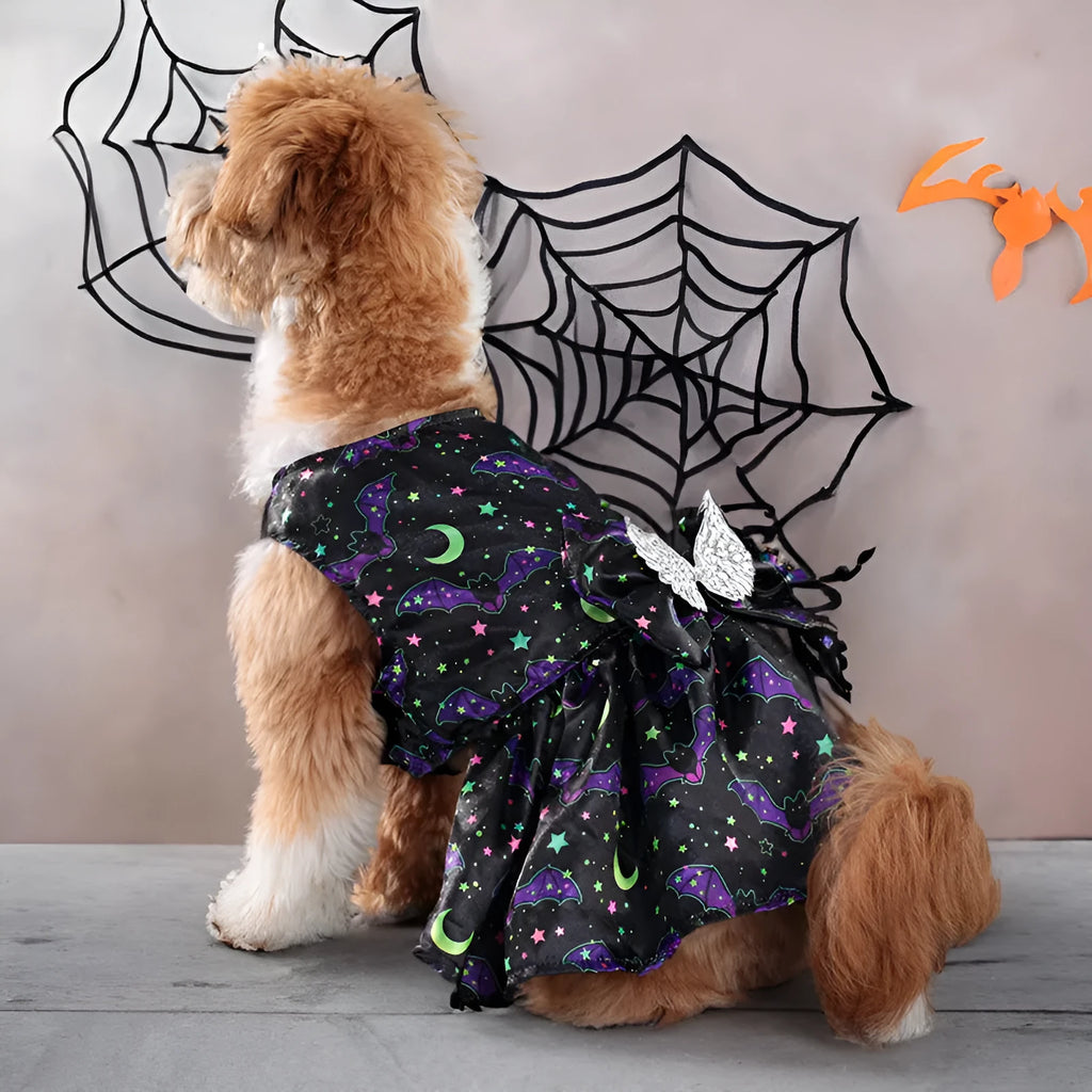 Dog wearing orange angel wings Halloween costume with bright pumpkin colour option