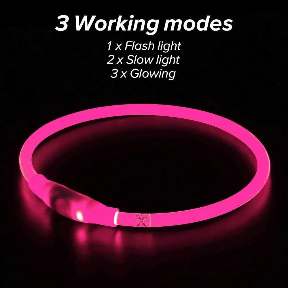 Blue USB rechargeable LED dog safety collar glowing with adjustable 70cm TPU band