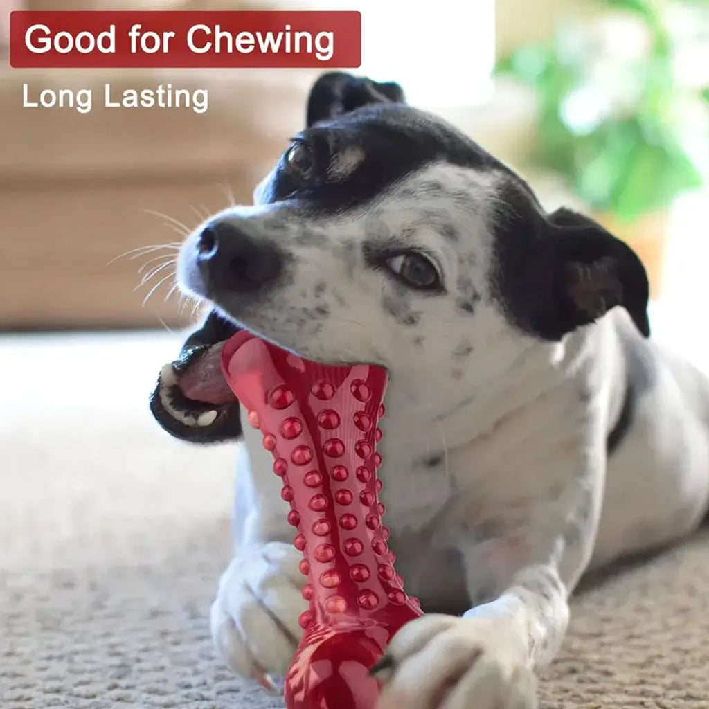 Red natural rubber chew toy for aggressive dogs, 15cm long heavy-duty durable dog chew
