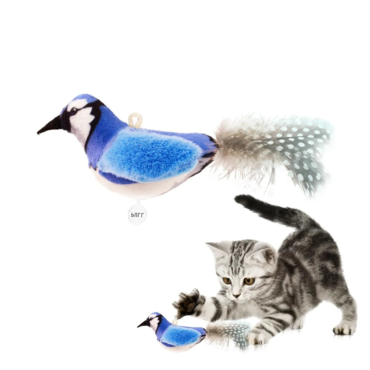 Colourful bird simulation plush cat toy in blue kingfisher design with soft fabric construction