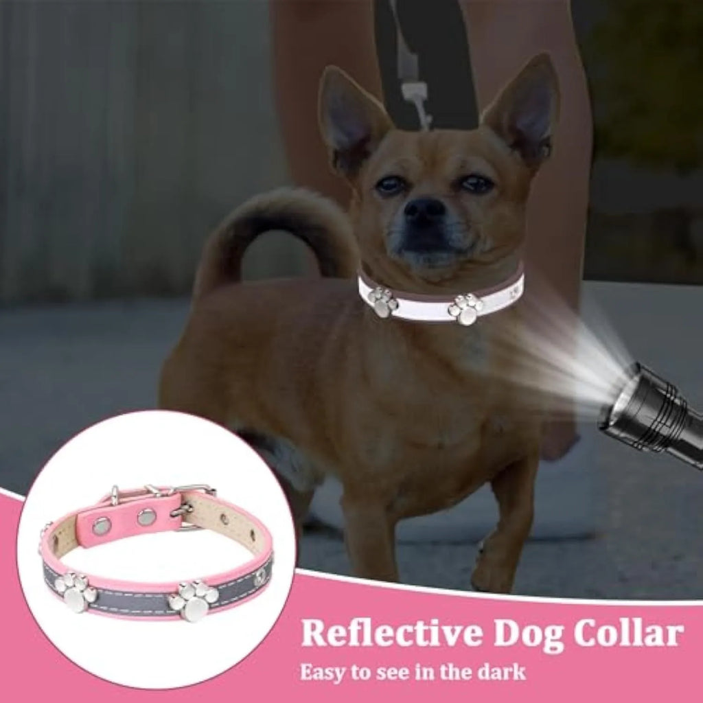 Reflective leather dog collar with metal paw rivet and buckle on a grey background