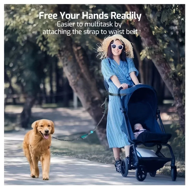 Hands-free dog leash with adjustable waist belt in durable nylon material for running and walking with dogs