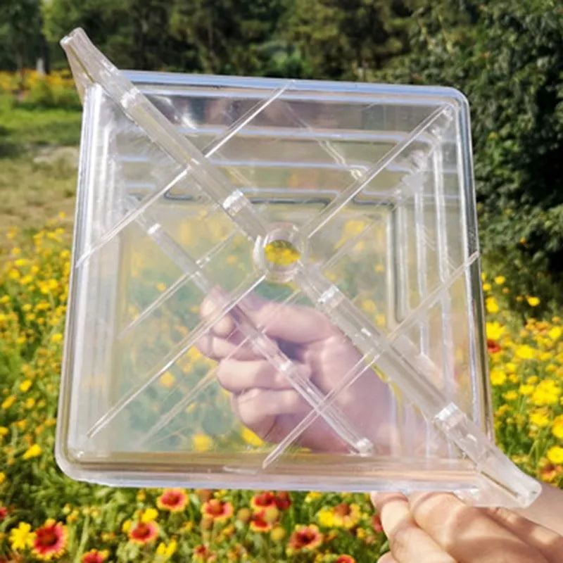 Square plastic growth mould for creating cube-shaped watermelons, dimensions 13x13x13cm.