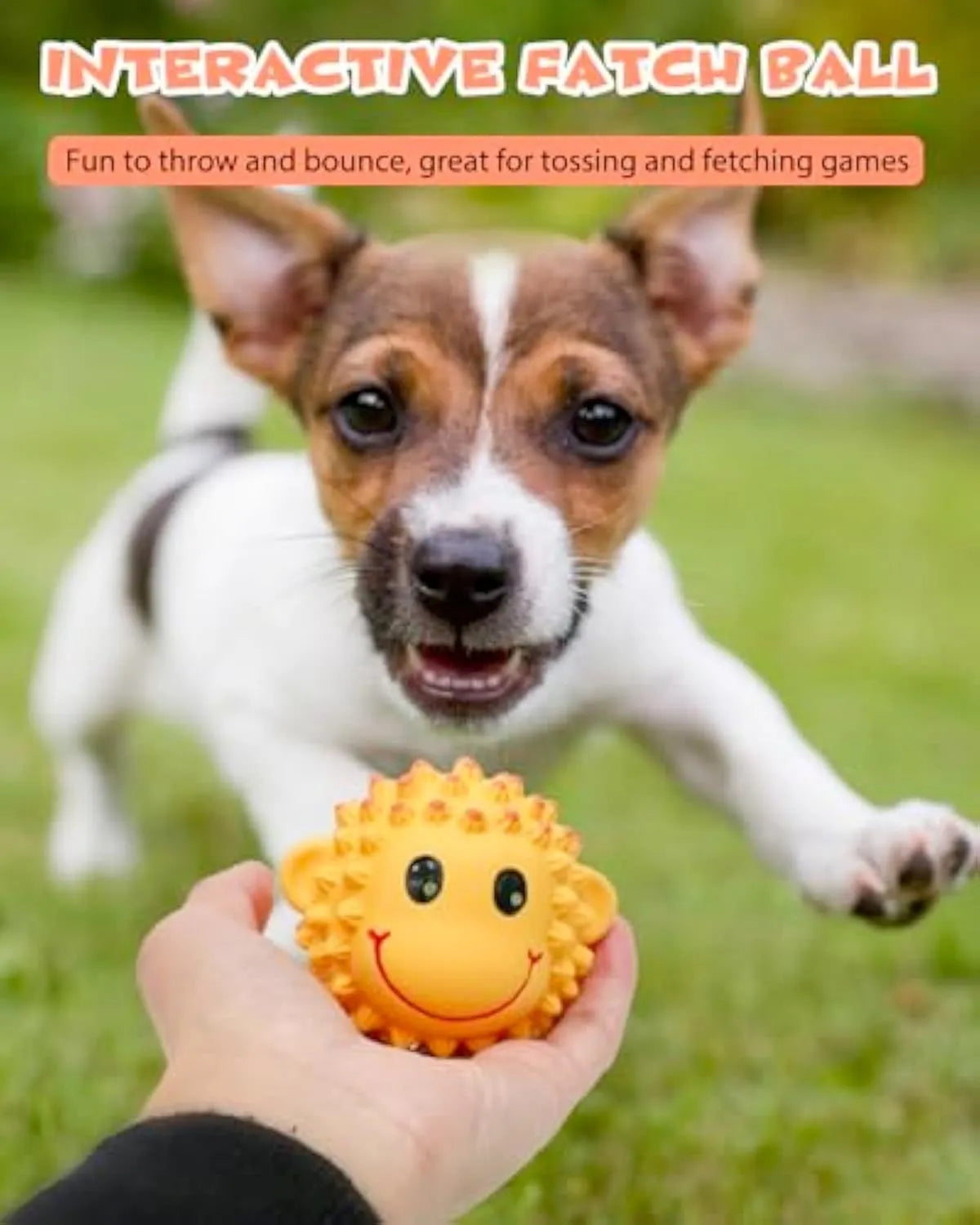Orange and yellow spiky latex dog toys with a squeaker, shown next to a measuring tape indicating 3 inch diameter.