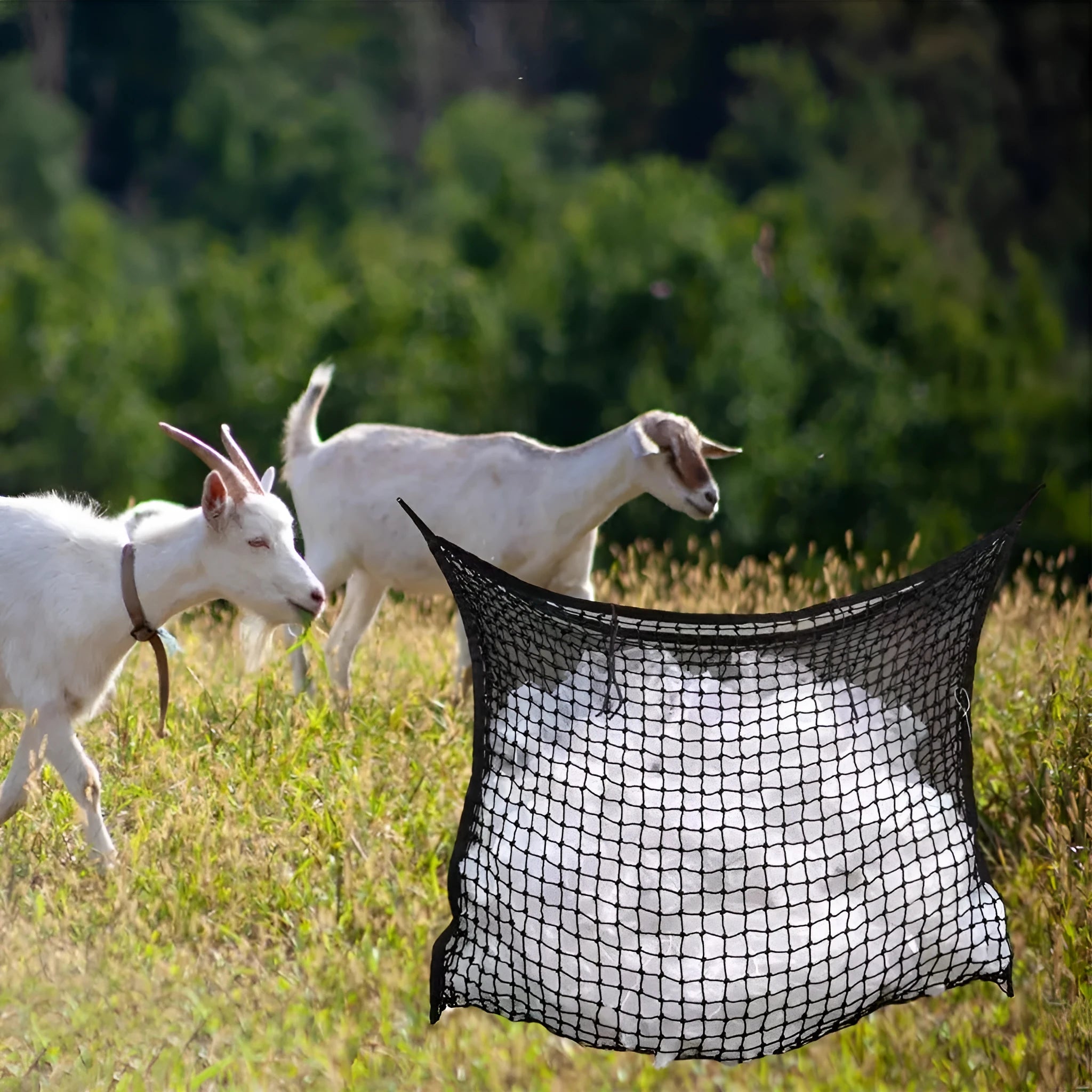Black woven grid horse feeding bag hanging, showing size options for cattle, horses and sheep.