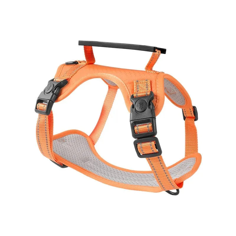 Adjustable polyester dog harness and lead in various colours with reflective trim, shown on size chart.