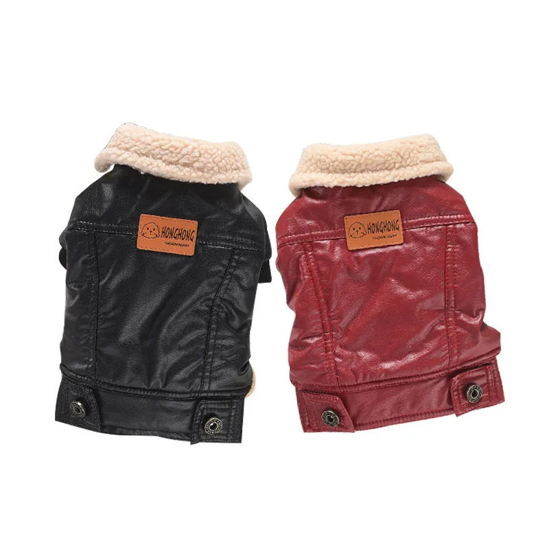 Red fleece-lined PU leather coat for a small dog, showing the two-legged design and British style.