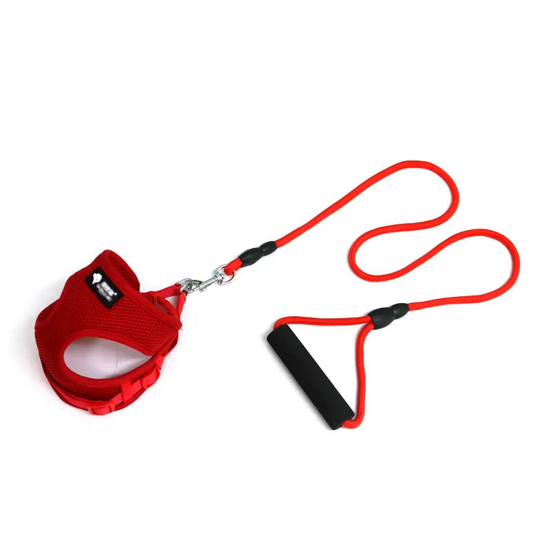 Blue round rope dog leash with a grey foam handle, shown adjusted for a medium-sized dog.