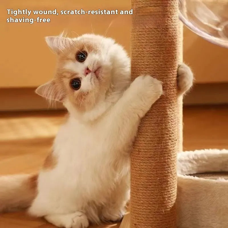 Wooden cat climbing frame with space capsule design in luxury colours