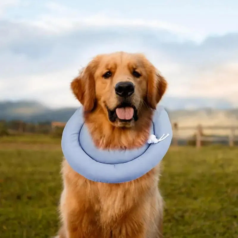 Blue adjustable Elizabethan recovery collar for a dog or cat on a white background.