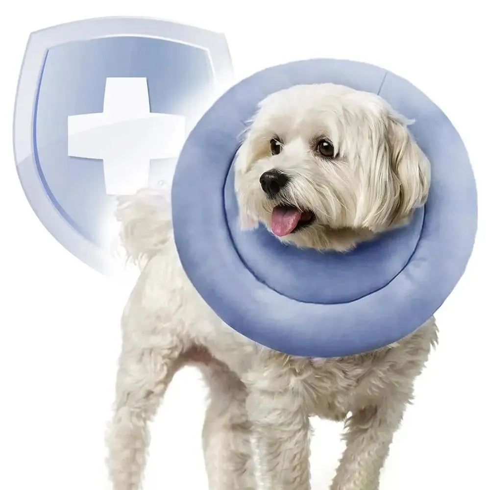 Blue adjustable Elizabethan recovery collar for a dog or cat on a white background.