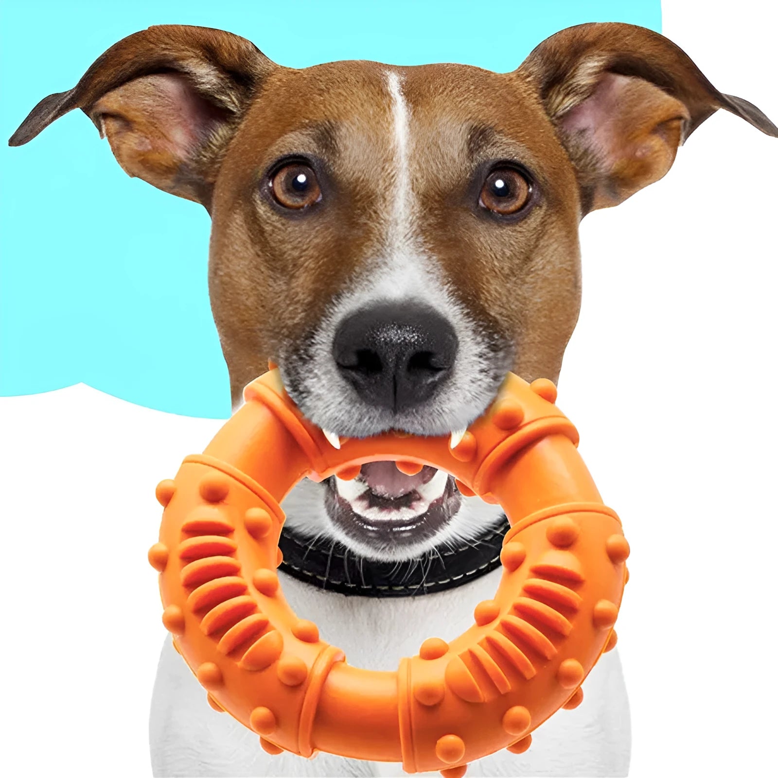 Blue hollow rubber dog fetching stick toy for catch and fetch games with dogs