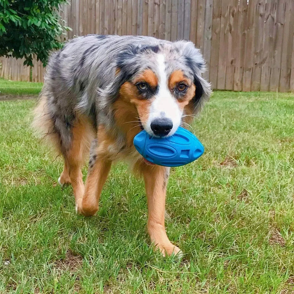 Natural rubber squeaky dog chew toy in blue, green and orange colours for medium and large breed dogs
