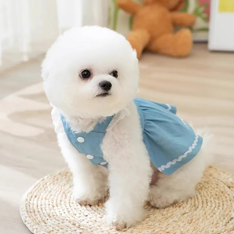 Bondi Blue denim dog skirt with strawberry embroidery on model dog
