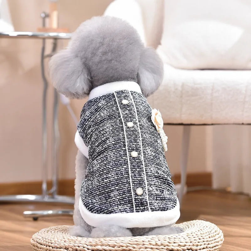 Black sausage-shaped PU jacket costume being worn by a small dog for Halloween.