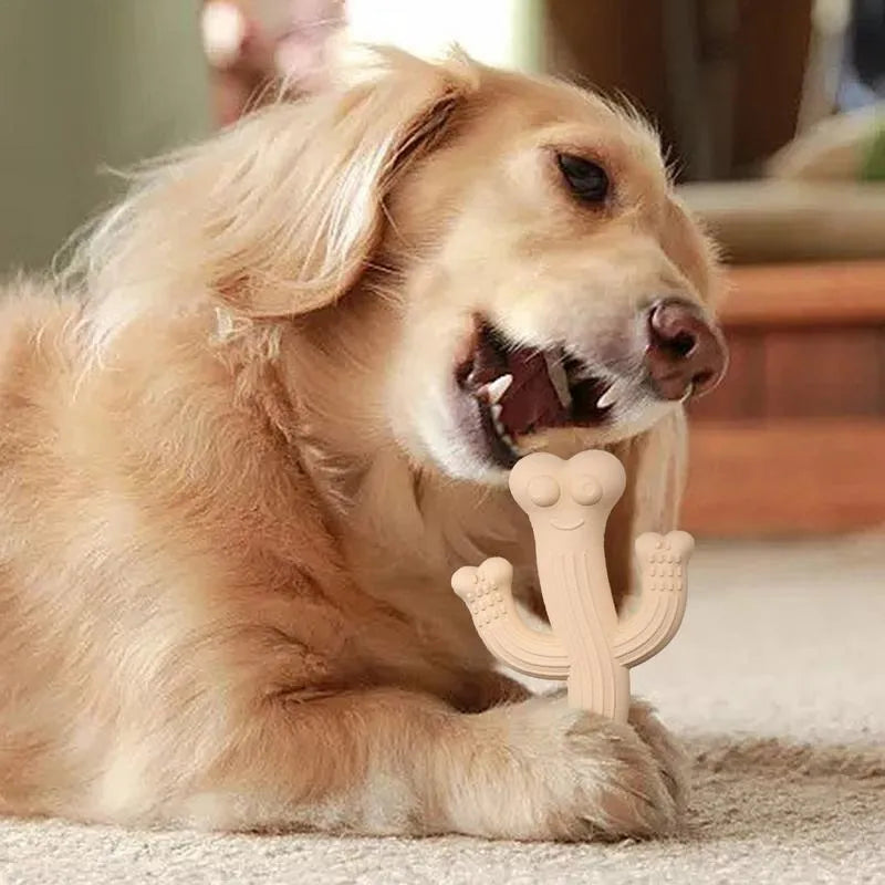 Beige, blue, or purple cactus-shaped dog chew toy made from bamboo fibre and rubber.