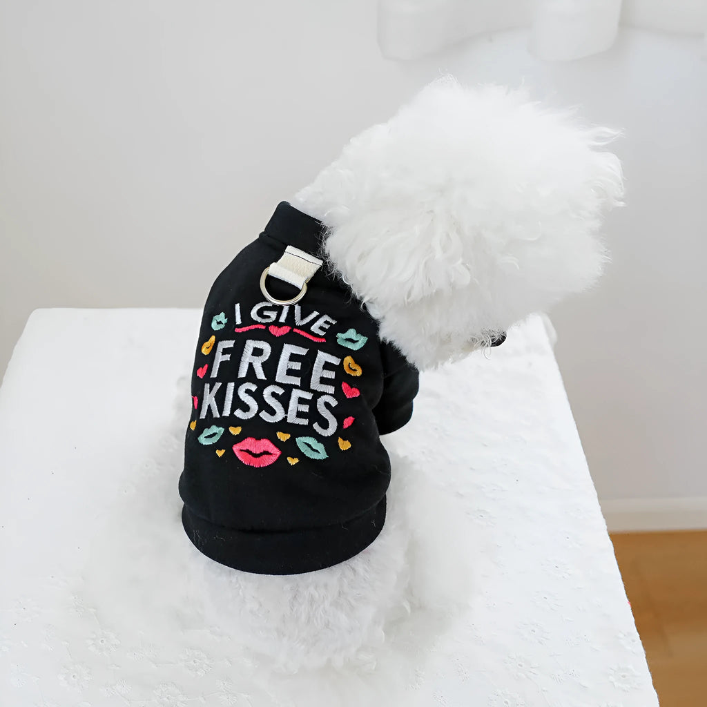 Casual grey knit dog jumper sweater on a mannequin, showing a simple V-neck and sleeve design.