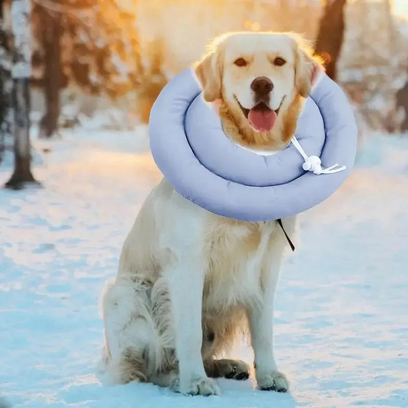 Blue adjustable Elizabethan recovery collar for a dog or cat on a white background.