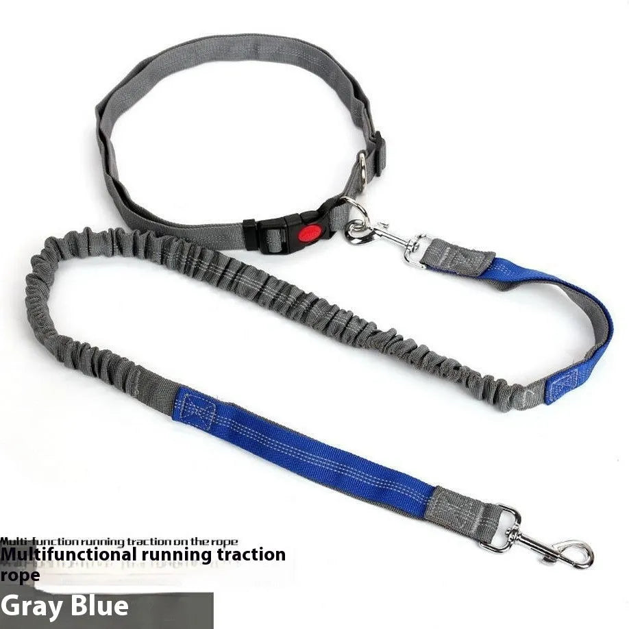 Grey and green reflective elastic dog leash with clip, shown coiled on a table.