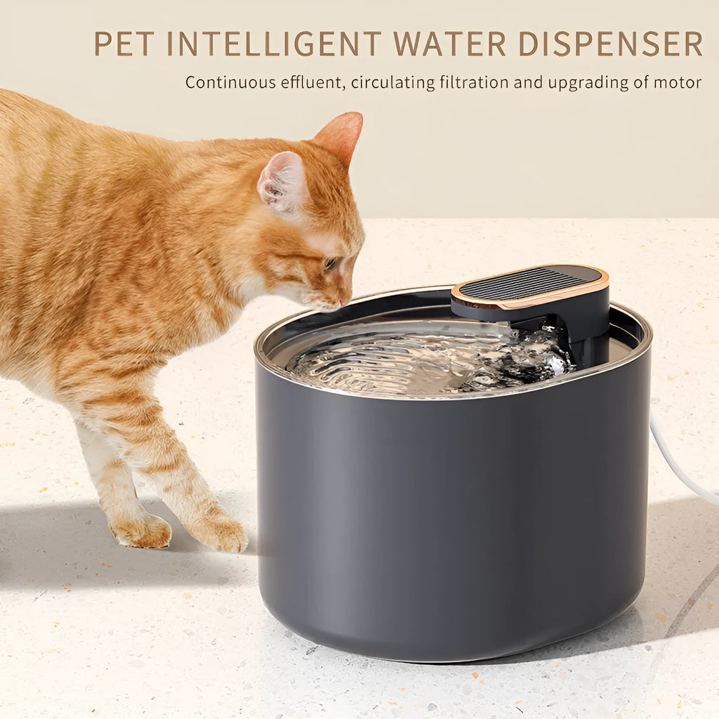 Automatic pet water fountain in Berlin Blue colour with USB cable and water pump.