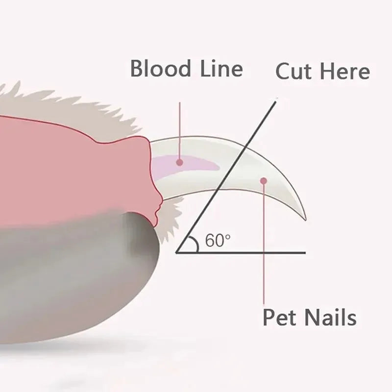 LED pet nail clippers with illuminated cutting area for cats and dogs, showing blue handle option