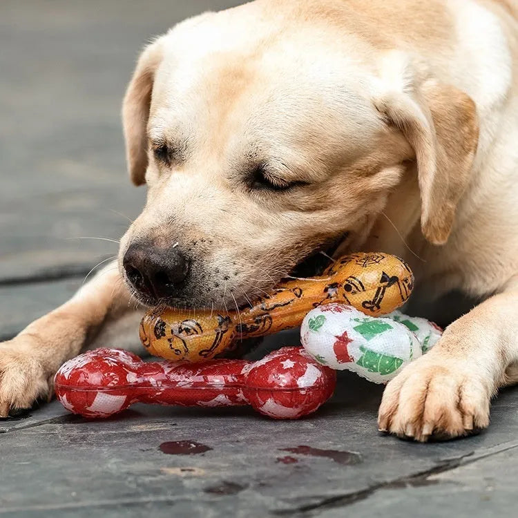 TPR bone-shaped dog toy with nibbling sound mechanism in seasonal colour designs