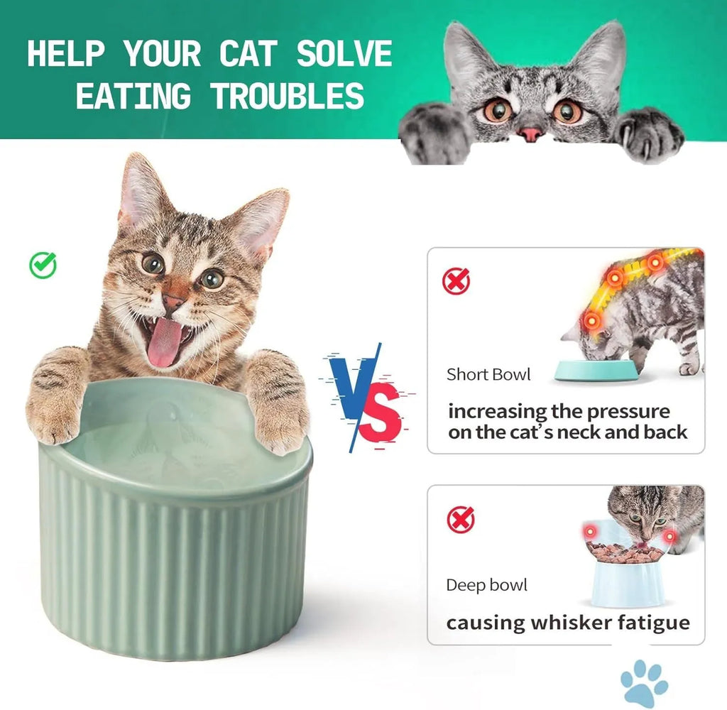 Dark green, light green or yellow ceramic elevated cat bowl with tilted round shape on raised base