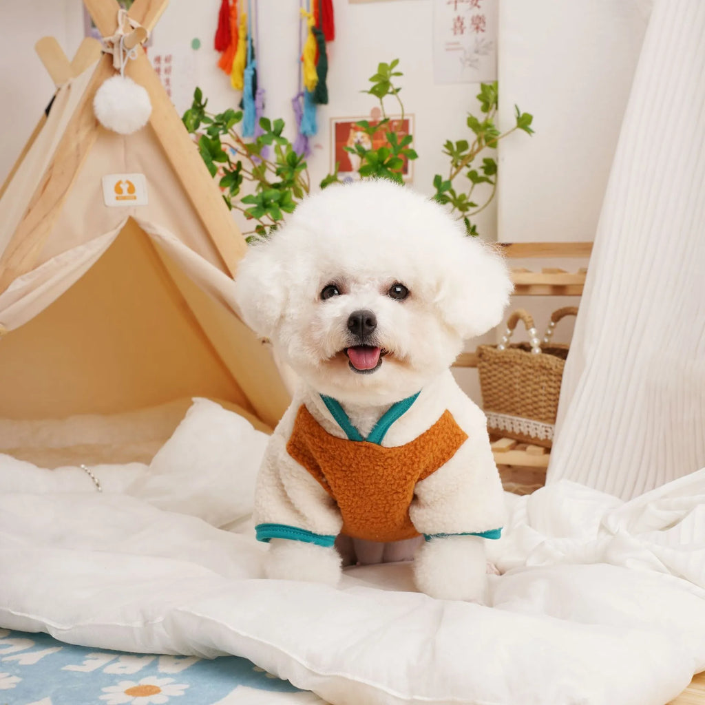 Lambswool fleece pet sweatshirt in caramel colour for autumn and winter warmth
