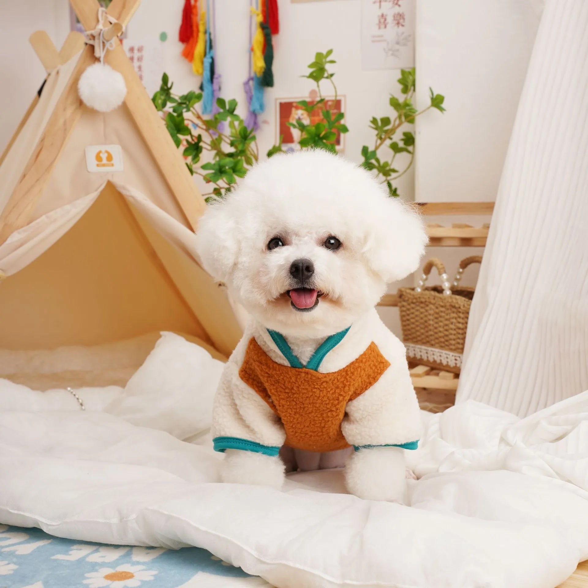 Lambswool fleece pet sweatshirt in caramel colour for autumn and winter warmth