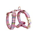 Four-piece dog accessory set with collar, leash, vest and decorative bow in cloth construction