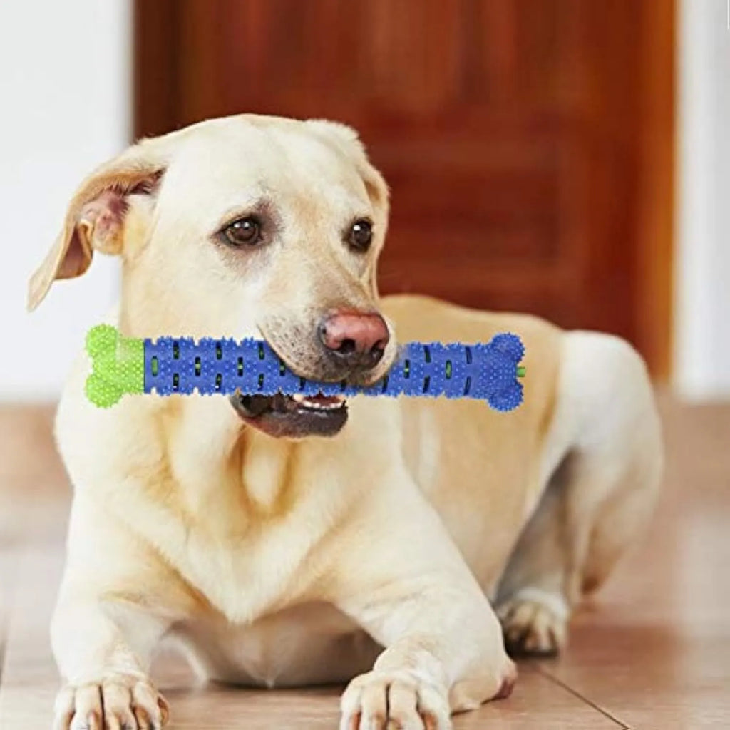 Blue green silicone dog dental cleaning stick with brush bristles and massage nodules, 25cm long