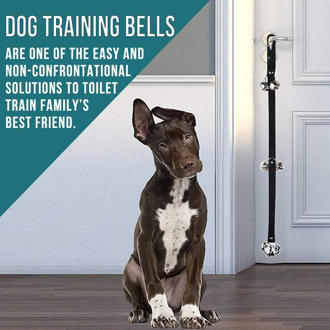 Adjustable dog training doorbell with seven metal bells and nylon leash for toilet training