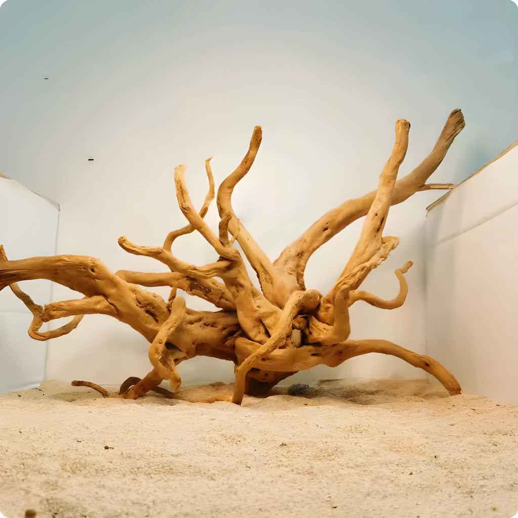 Xiaoqi root natural wood aquarium decoration ornament resembling azalea root.