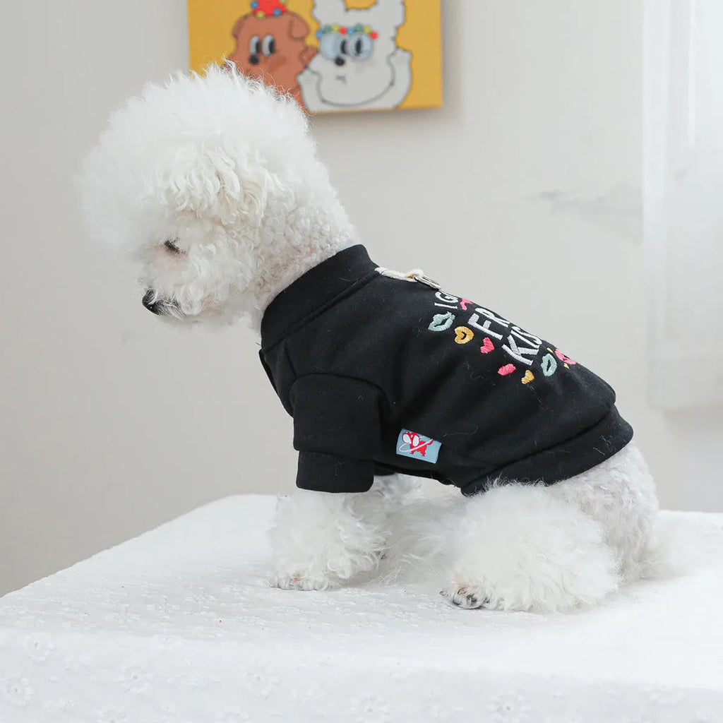 Casual grey knit dog jumper sweater on a mannequin, showing a simple V-neck and sleeve design.
