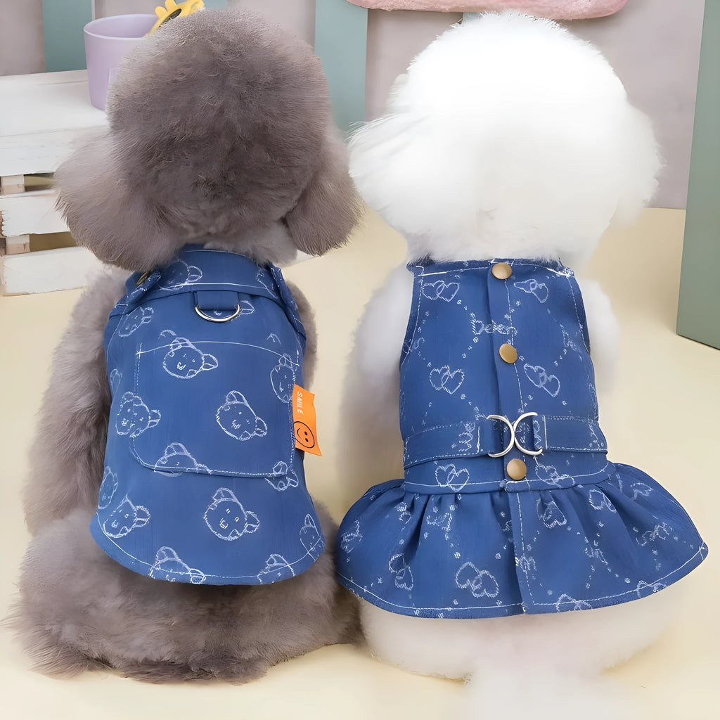 Denim princess dress for small dogs in bracket skirt style with spring autumn seasonal design
