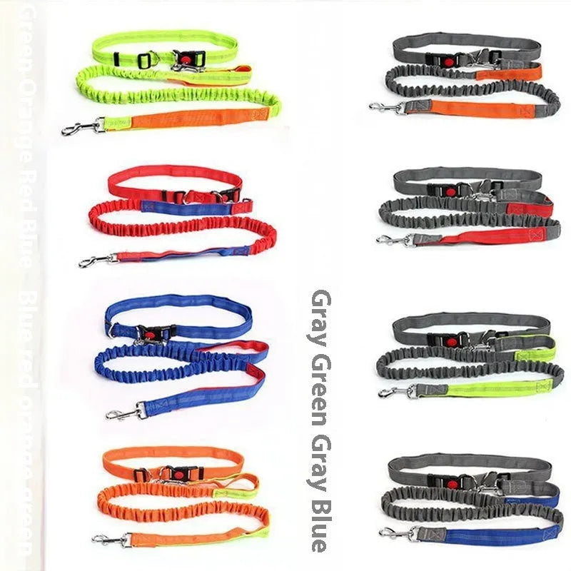 Grey and green reflective elastic dog leash with clip, shown coiled on a table.