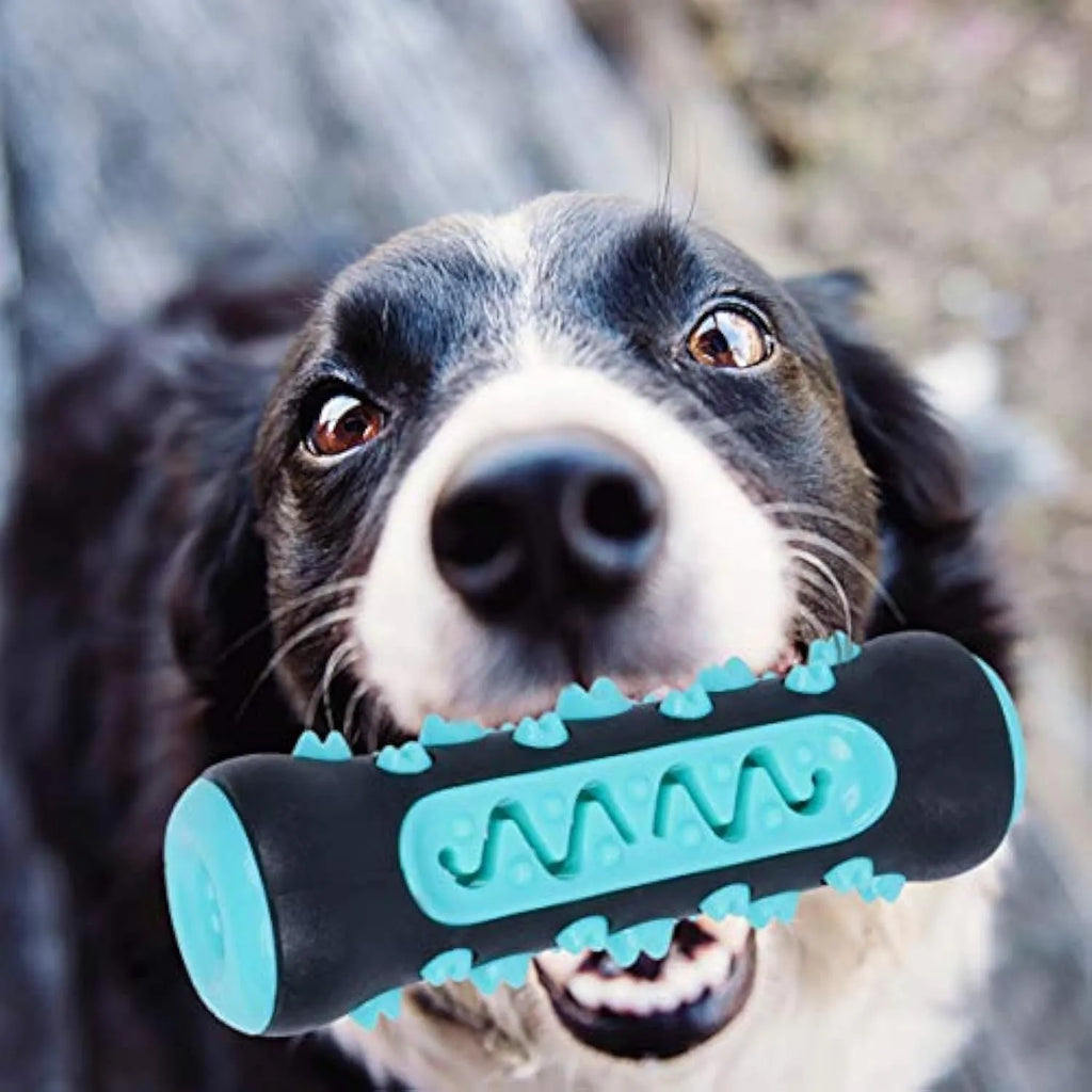 A natural rubber dog toothbrush chew toy in blue, showing its textured surface for dental cleaning.