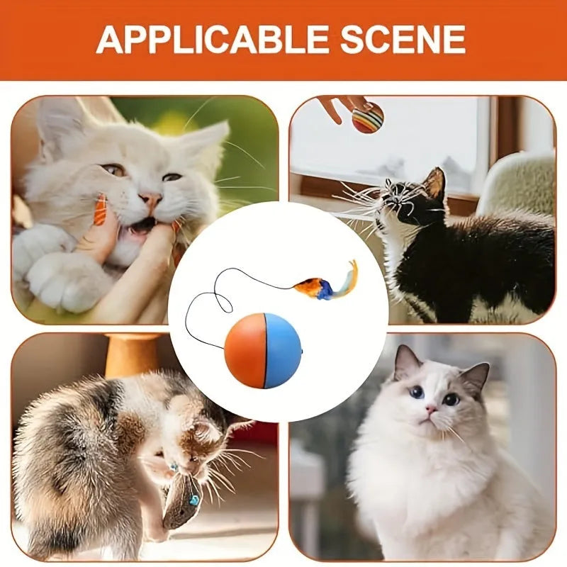 Orange and blue interactive motorised cat toy ball with a plush mouse inside, showing its compact size.
