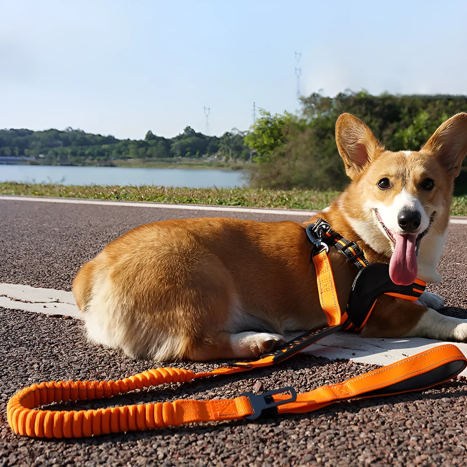 Retractable dog leash with reflective strip and comfort grip handle in black, orange, and khaki colours