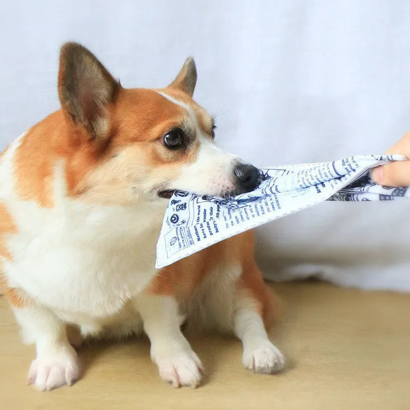 Tear-resistant dog sound toy with realistic newspaper design for small breed puppies